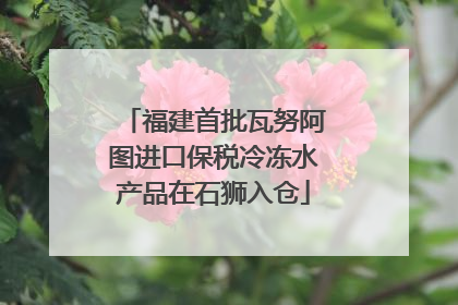 福建首批瓦努阿图进口保税冷冻水产品在石狮入仓